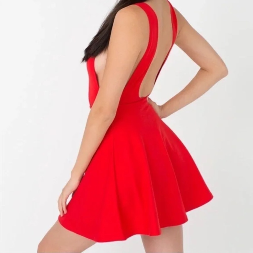 American Apparel Skater Dress